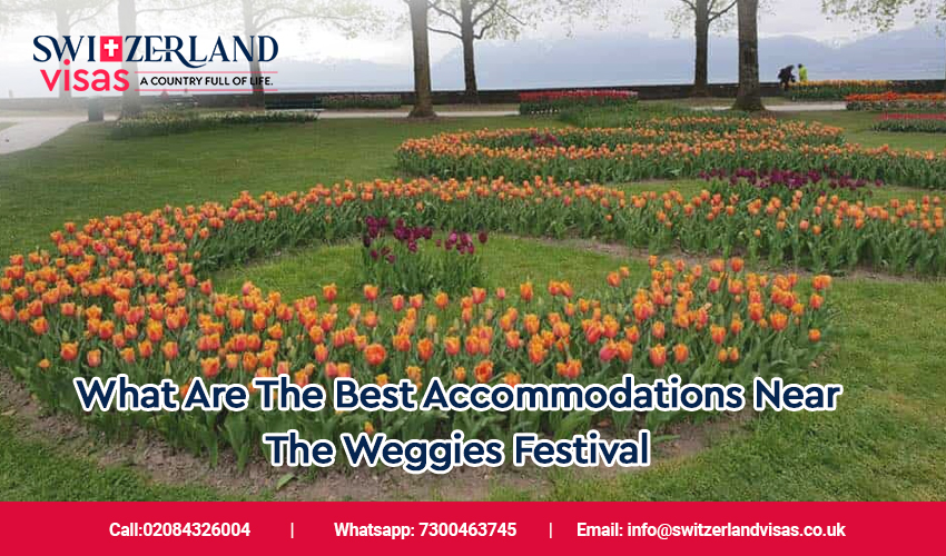 Weggis Rose Festival in Switzerland 2025